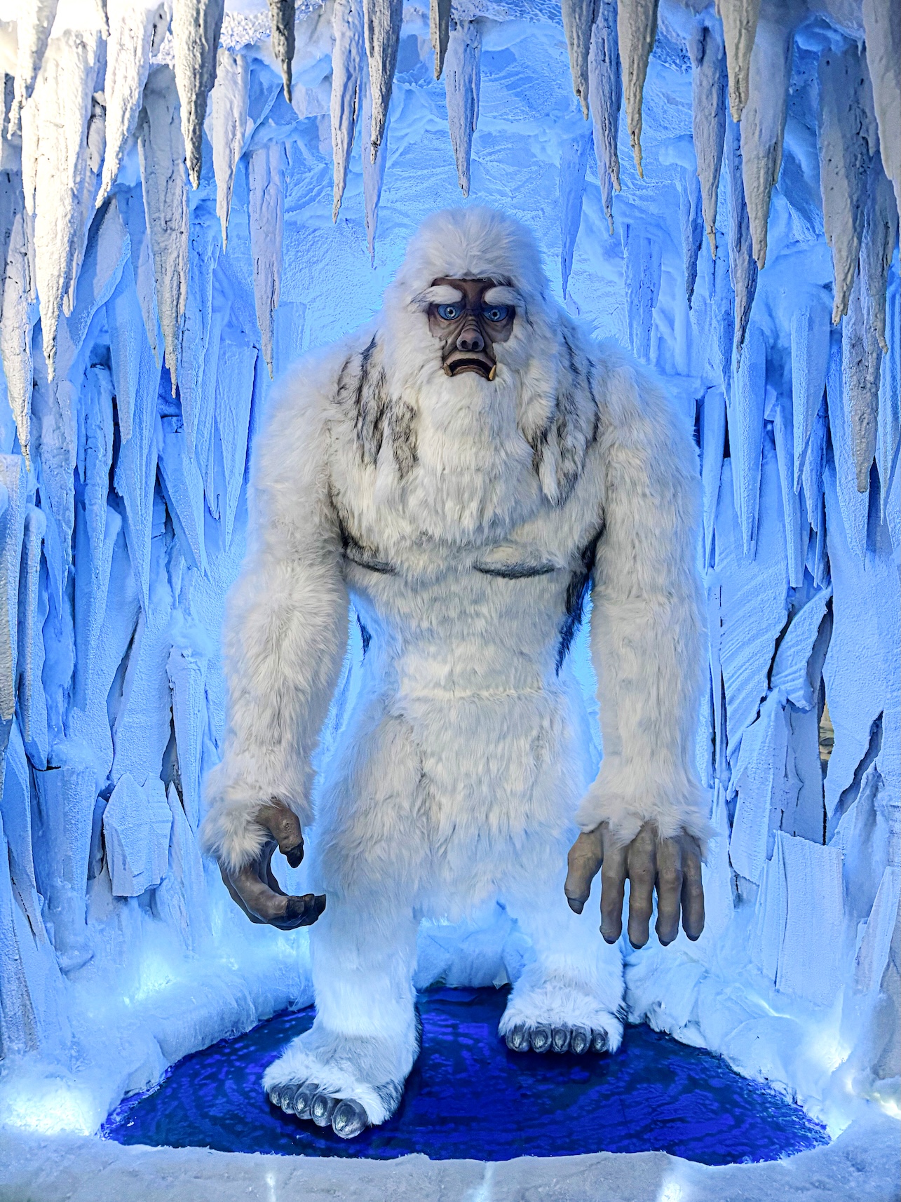 Yeti House by Be Happy Museum Zakopane